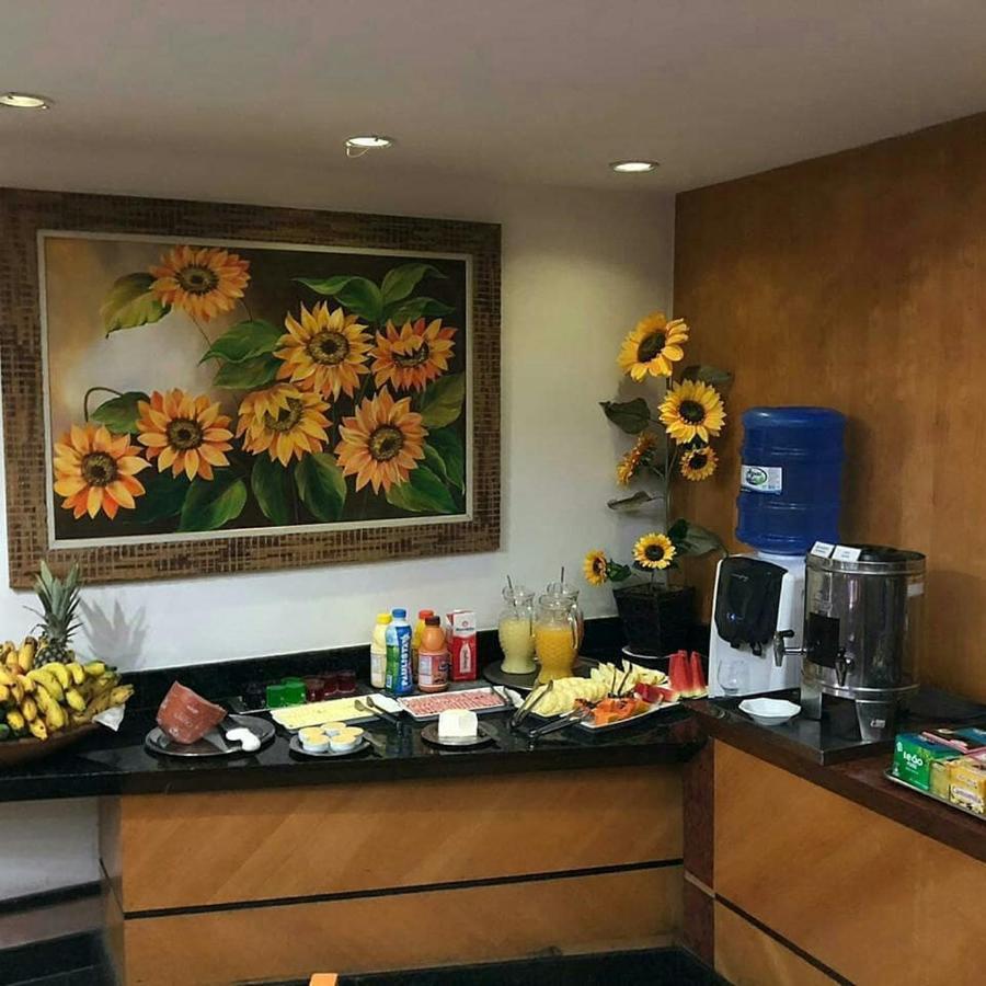 Horto Executivo Hotel Ipatinga Eksteriør bilde